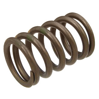 Genuine® - Outer Valve Spring