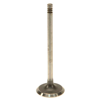 Genuine® - Intake Valve
