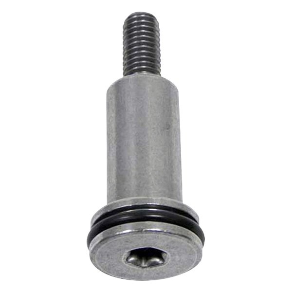 Genuine® - Timing Chain Rail Bolt