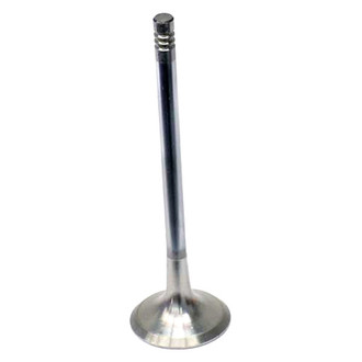 Genuine® - Engine Valve