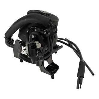 Genuine® - Engine Mount