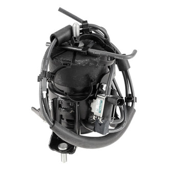 Genuine® - Engine Mount