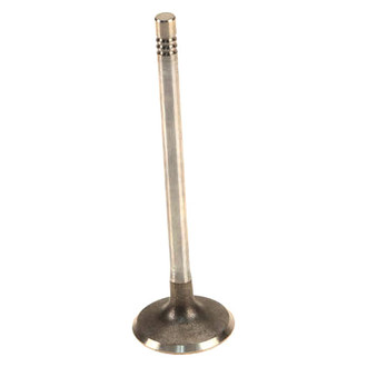 Genuine® - Engine Valve
