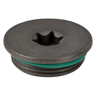 Genuine® - Camshaft Solenoid Adjuster Plug