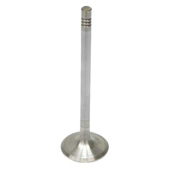 Genuine® - Engine Valve