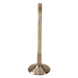 Genuine® - Intake Valve