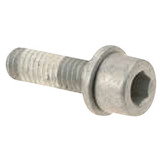 Genuine® - Fuel Pump Bolt