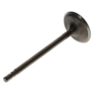 Genuine® - Intake Valve