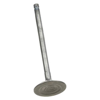 Genuine® - Intake Valve