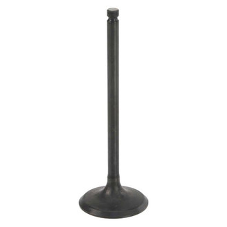 Genuine® - Intake Valve