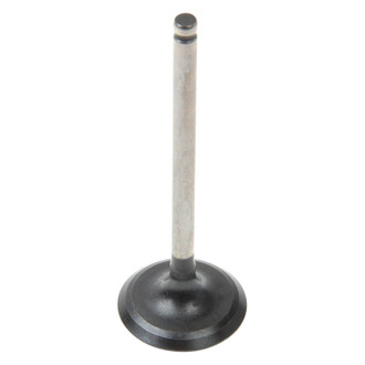 Genuine® - Intake Valve