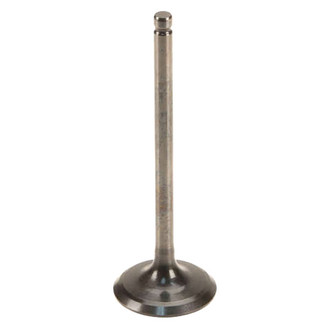 Genuine® - Engine Valve