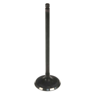 Genuine® - Intake Valve