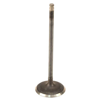 Genuine® - Intake Valve