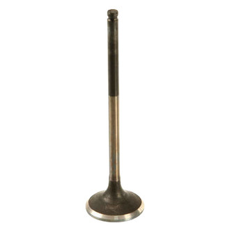 Genuine® - Exhaust Valve