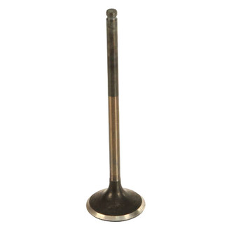 Genuine® - Engine Valve