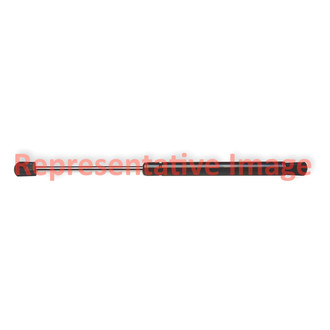 Genuine® - Liftgate Lift Supports