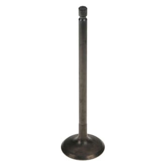 Genuine® - Intake Valve