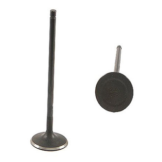 Genuine® - Intake Valve