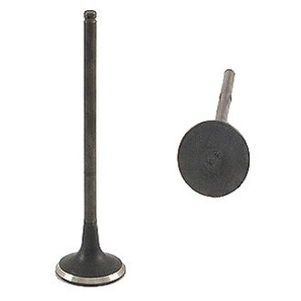 Genuine® - Intake Valve