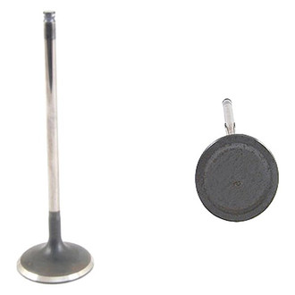 Genuine® - Intake Valve