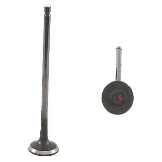 Genuine® - Exhaust Valve