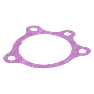 Genuine® - Vacuum Pump Gasket