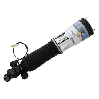 Genuine® - Rear Passenger Side Air Strut