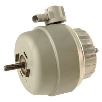 Genuine® - Engine Mount