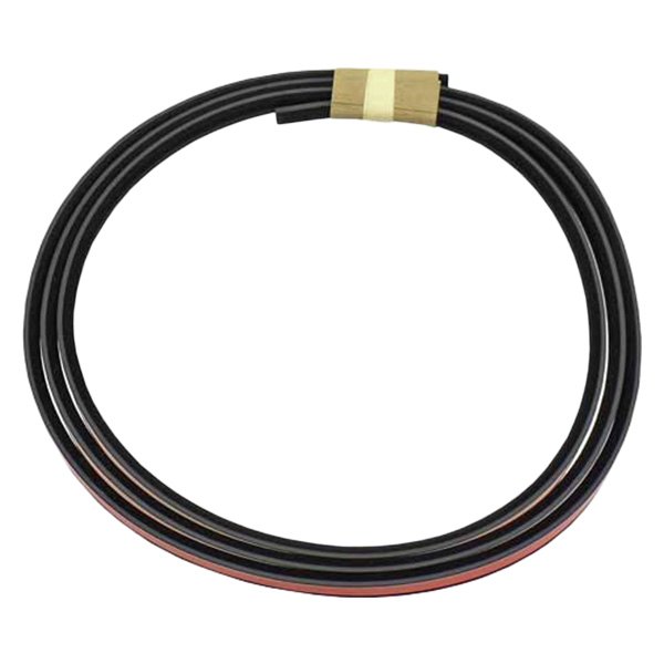 Genuine® 54128165954 Sunroof Weatherstrip