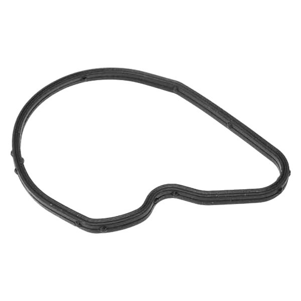 Genuine® 55561100 Vacuum Pump Gasket