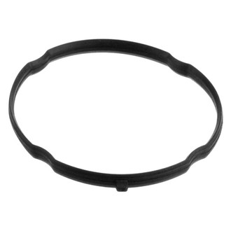 Genuine® - Fuel Injection Throttle Body O-Ring