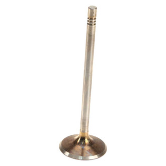 Genuine® - Intake Valve