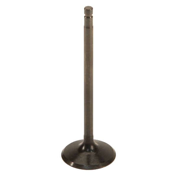 Genuine® - Engine Intake Valve