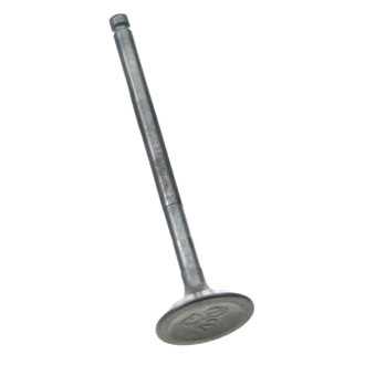 Genuine® - Exhaust Valve