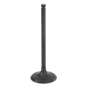 Genuine® - Intake Valve