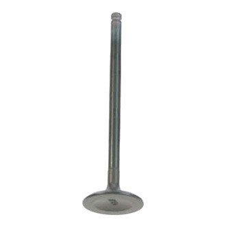 Genuine® - Intake Valve