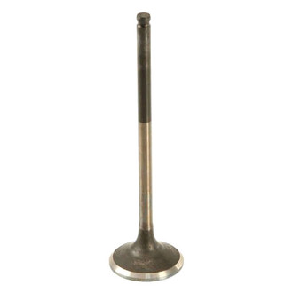 Genuine® - Exhaust Exhaust Valve