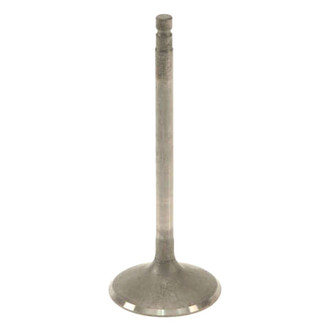 Genuine® - Intake Valve