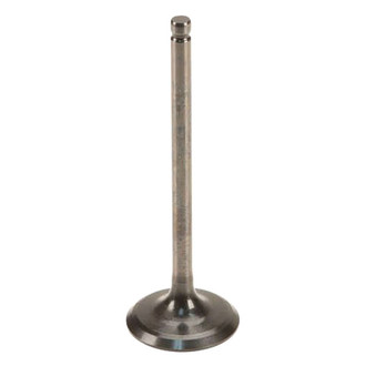 Genuine® - Intake Valve