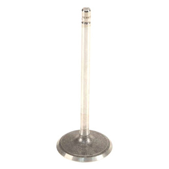 Genuine® - Intake Valve