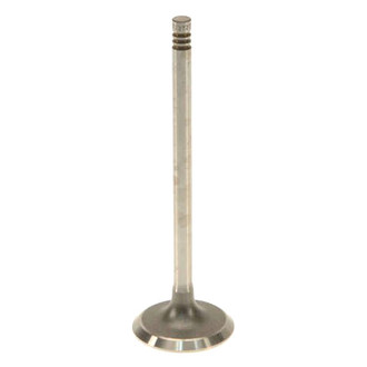 Genuine® - Intake Valve
