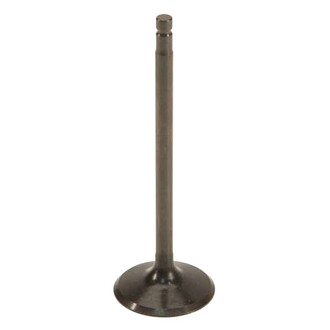 Genuine® - Intake Valve