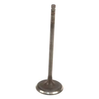 Genuine® - Intake Valve