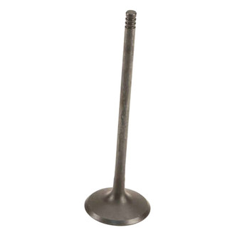 Genuine® - Intake Valve