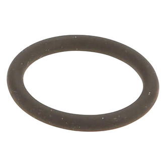 Genuine® - Crankcase Vent Valve Seal