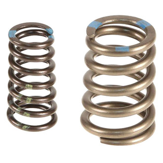 Genuine® - Intake Valve Spring