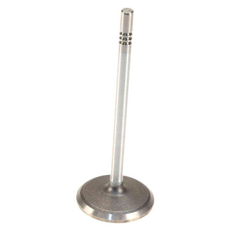 Genuine® - Intake Valve