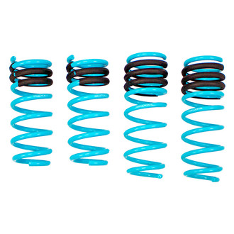 Godspeed Project® - Traction-S™ Coil Springs