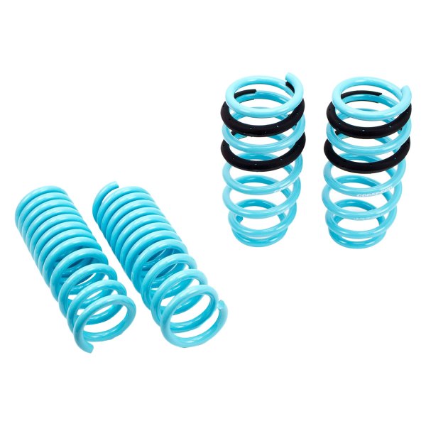 Godspeed Project® - 0.8" x 1.3" Traction-S™ Front and Rear Performance Lowering Springs